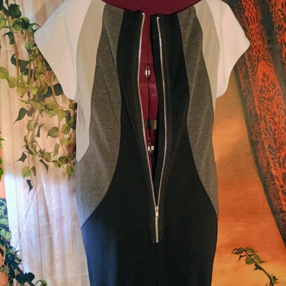 EUC: R&K ORIGINALS Sze 1X Black, Gray & White Colorblock Zipper Dress - Picture 5 of 5